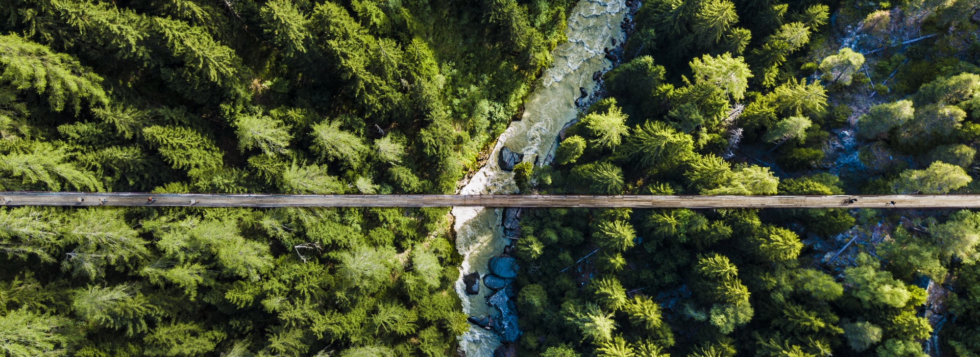 photo pont suspendu Suisse