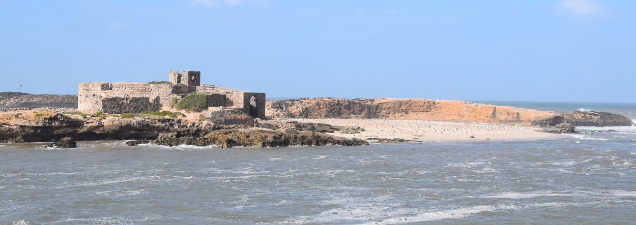 Vue du port - Essaouira